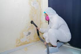 Taneytown, MD Mold Inspection Company